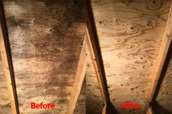 water damage restoration service Munsons Corners